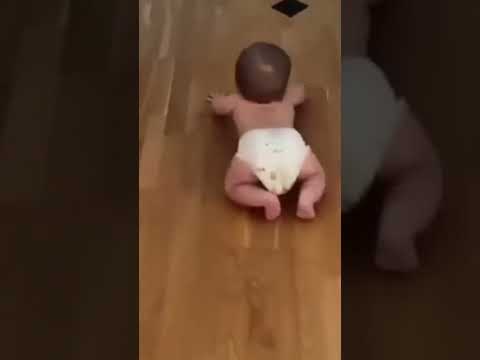 روق روق روق روق