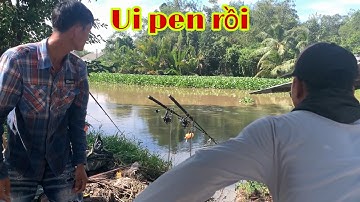 Câu Cá Tra Sông Quăng Câu Mà Cá Pen Cần Cái Là Hồi Hộp | Fishing Miền Tây