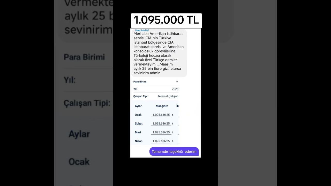 Türkoloji Hocası Olan Bir Kişinin Kazancı Ne Kadar Olur?