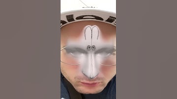 Fork Glasses Face Test: Character Embodiment Study from “Walking Bread”