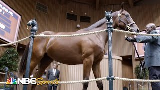 Born to Run: American Pharoah's offspring go to auction, begin training | PART 2 | NBC Sports