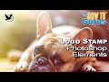 How You Can Add a Logo Stamp Brush Watermark in Photoshop Elements
