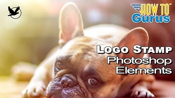 How You Can Add a Logo Stamp Brush Watermark in Photoshop Elements