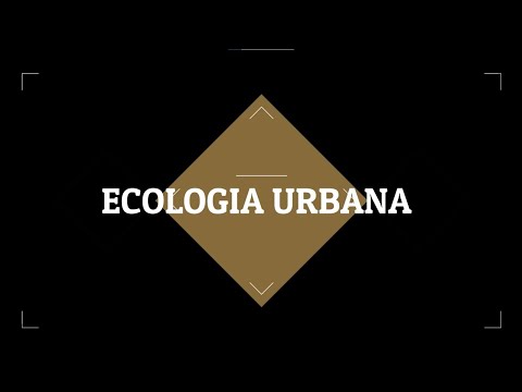 Ciência que protege - pesquisa da fauna silvestre