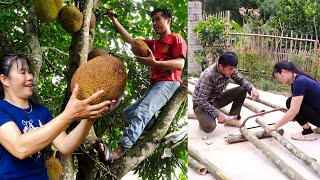 Surprised By the achievements resulting from Mến and Thúy's hard work in agriculture.