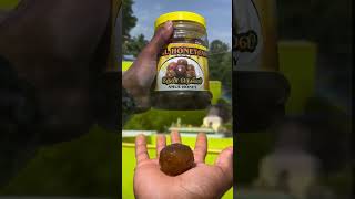Support pannuga☺️🍯#trendingshorts #tirunelveli #food #beekeeping #beefarm #honey #wholesale #kalakad