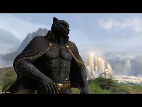 kein Name: A New Outfit for the King of Wakanda