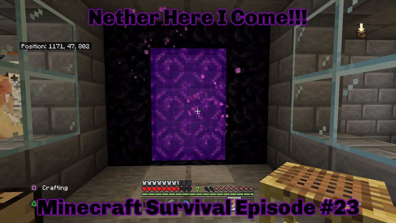 Minecraft Episode #23 Back To The Nether We Go! - YouTube