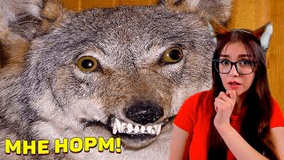 картинка: ЗАСМЕЯЛСЯ - ПОДПИСАЛСЯ! ЛУЧШИЕ ПРИКОЛЫ 2020 ТЕСТ НА ПСИХИКУ УГАР! #262 РЕАКЦИЯ НА СОЮЗ СМЕХА