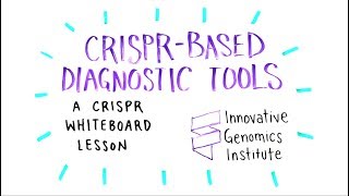 CRISPR-Based Diagnostic Tools - A CRISPR Whiteboard Lesson