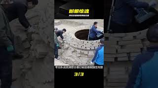河北古樹根下驚現神秘古墓,墓中迷影重重,近百家媒體爭相報道 #河北,古树,古墓,考古,神秘