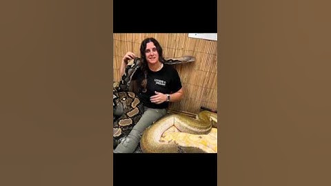 🤯☠️ #shorts #viral #trollface