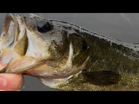 Bass fishing!