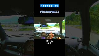 MINIでドライブ中マイク外付けなのに雨が降り始めちゃった。この日は雨予報ではなかった!(はず) #mini #cooper #r56 #drive