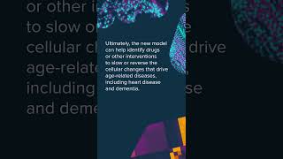 Discovery Spotlight│New AI Model Predicts How Cells Age
