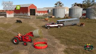 We Spent Big at the Livestock Market!