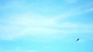 Sunny Blue Sky ☀️🌸 in 4K – ~10h Loop for Positive Vibes, Relaxation & Focus
