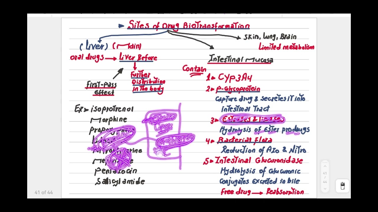 Lecture 2 metabolism المرحله التالته وزاري