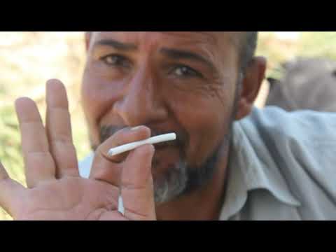 اعمل دى صح عشان تضرب دى