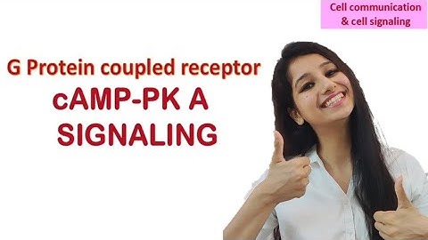 GPCR-cAMP-PKA pathway|G protein coupled receptor|Protein kinase A- Cyclic AMP|CSIRNET|gate|IITJAM|