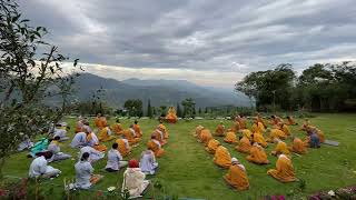 NIKAYA Thiền Quán - Tâm Thương Dễ Chịu Biết Bao Trong Lòng !