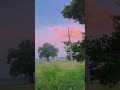 gaon ki sundarta unexpected 😍👉#tranding #nature #like #love #travel #song #morningslikethese 🌼🌺💗