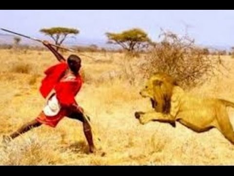 Video pertarungan Antara Manusia  Dengan Binatang  Buas  