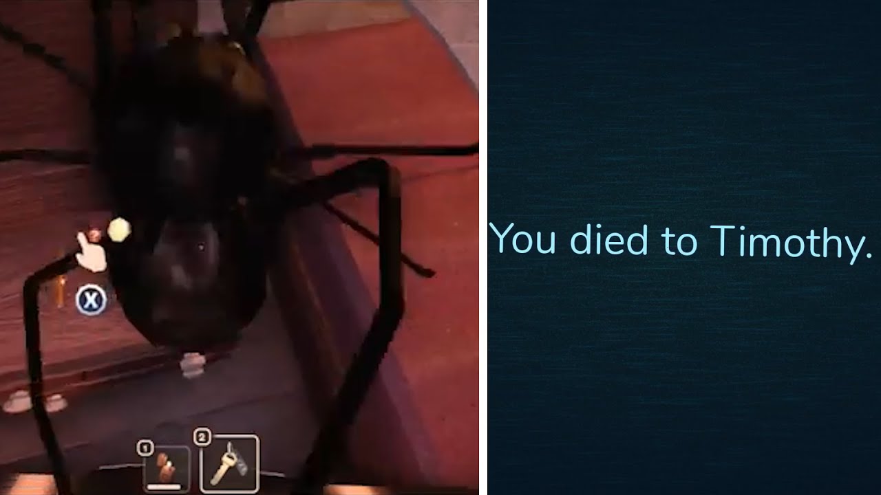 Timothy Jumpscare DOORS YouTube