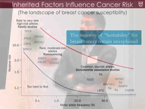 presentation-by-brandon-pierce,-phd-to-the-cancer-research-foundation