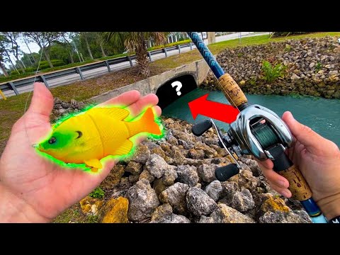 Catching 10 POUND BASS in SECRET HONEYHOLE!! *INSANE*