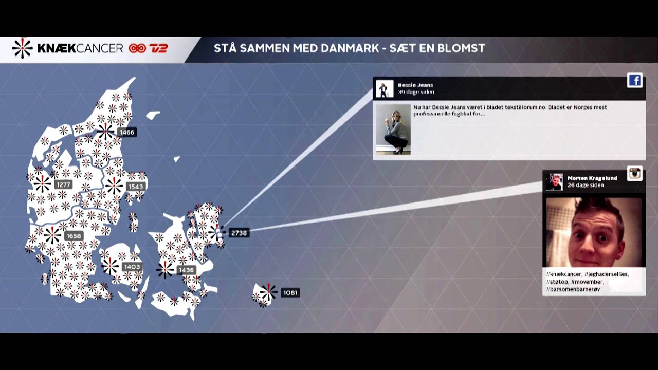 Knæk Cancer - Sociale medier 2013
