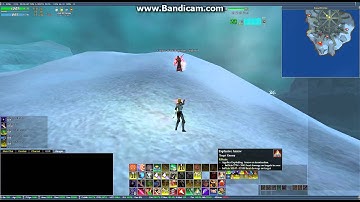Ranger one shotting Delhagin the Frightful in Everquest 2 250K hit.