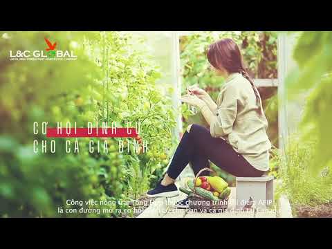 Danh sách 10+ Công Ty Xuất Khẩu Lao Động Chất Lượng tại An Giang và Kiên Giang Danh sách 10+ Công Ty Xuất Khẩu Lao Động Chất Lượng tại An Giang và Kiên Giang