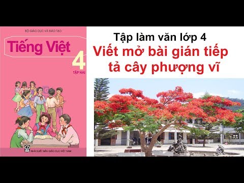 Video Viết mở bài gián tiếp tả cây phượng vĩ - youtube