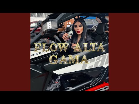 Flow Alta Gama