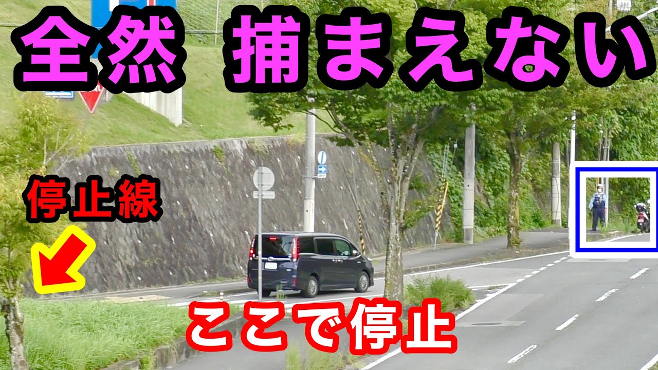 これでも捕まえない⁉️】一時停止を無視する車をスルーする警察官