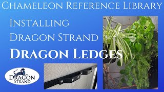 How to Install Dragon Ledges from Dragon Strand