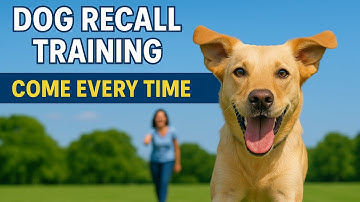 How to Train Your Dog to Come Every Time (Even at the Park!) | #recalltraining