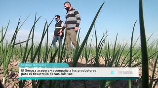 Producción frutihortícola en Santiago del Estero