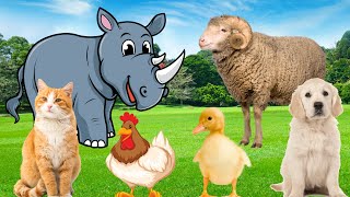 Farm animal sounds - Cows, goats, sheep, dogs, pigs - Familiar animals by Animal Moments 266,696 views 1 year ago 14 minutes, 31 seconds