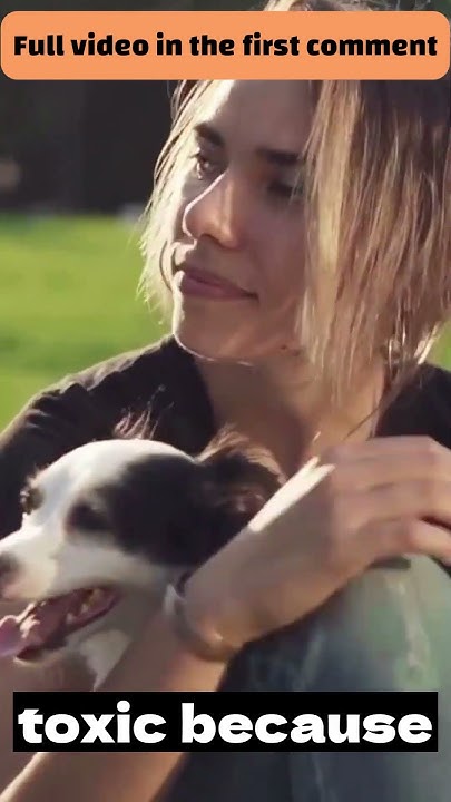 will-dogs-die-from-eating-chocolate-dogs-dog-shorts-youtube