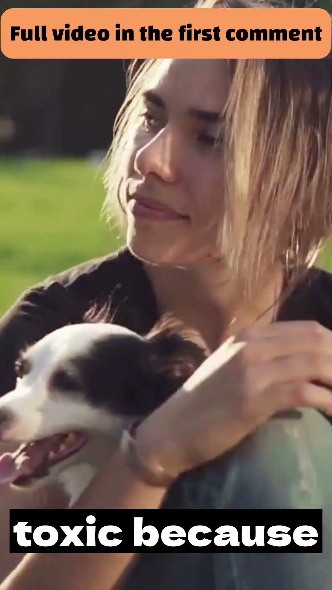 Will Dogs Die From Eating Chocolate dogs dog shorts YouTube Will Dogs Die From Eating Chocolate dogs dog shorts YouTube
