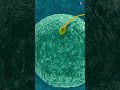 Beyond Condom &amp; Vasectomy: 3 New Male Contraception Methods (Pills, Gels)