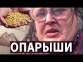 ОПАРЫШИ