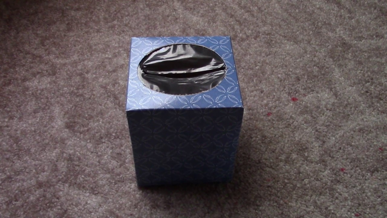 EMPTY KLEENEX BOX - The Intensity Channel