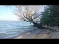 Скрябін Старі фотографії