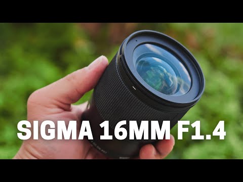 Don't Buy This Lens - SIGMA 16MM F1.4 For Micro Four Thirds