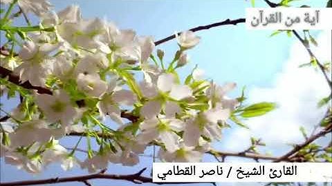 تلاوة خاشعة للشيخ ناصر القطامي من سورة الشعراء