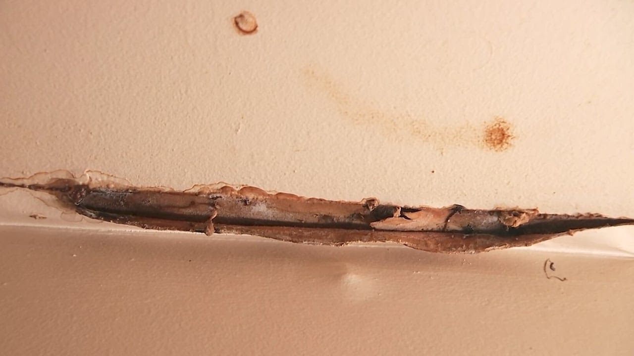 Atlanta city council committee considers ordinance change to address mold in apartments