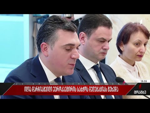 ილია დარჩიაშვილი ევროკავშირის საბჭოს დელეგაციას შეხვდა